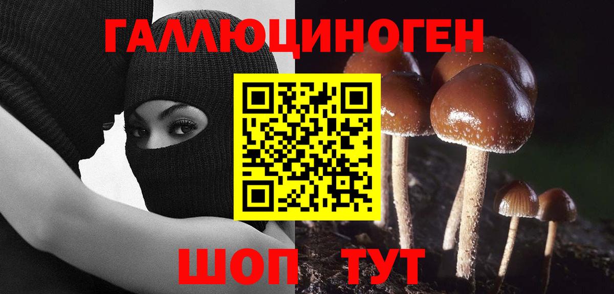 МЕФ Железноводск