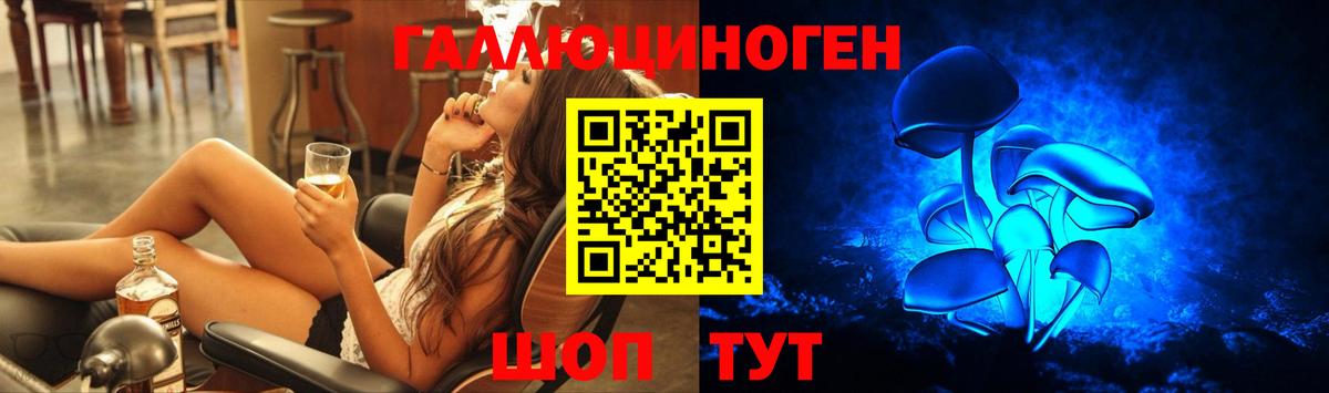 Псилоцибиновые грибы мицелий  Вход с VPN  Железноводск 
